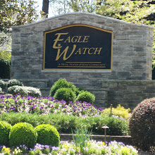 Eagle Watch Woodstock Neighborhood