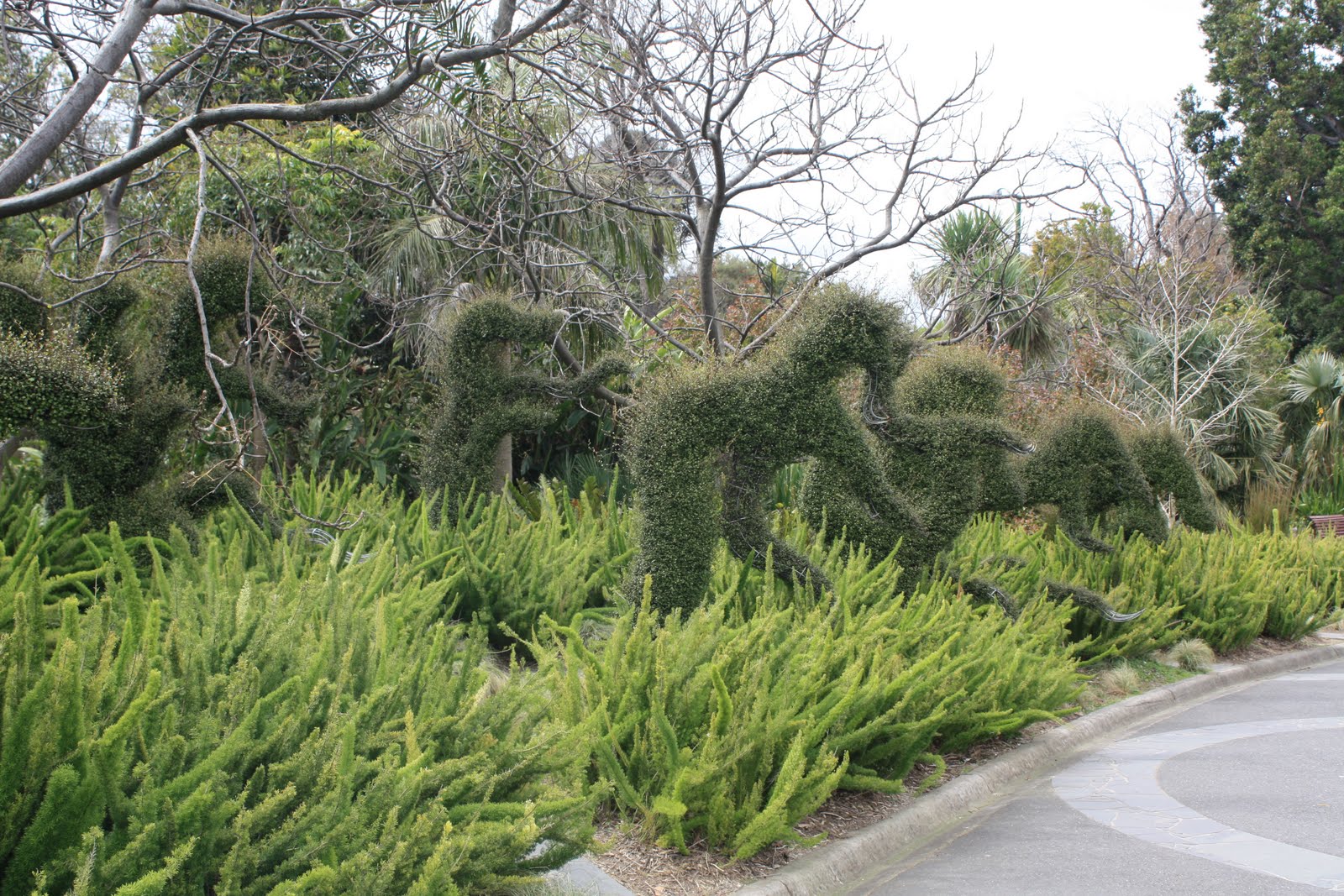 Chookie's Back Yard The Ian Potter Foundation Children's Garden