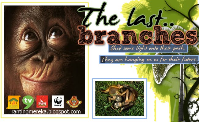 The Last Branches