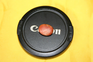 IMG_8507.jpg