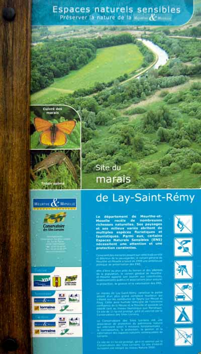 Les actualités du Monde de Lupa Le marais de LaySaintRémy