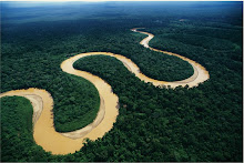 Nuestra Amazonía
