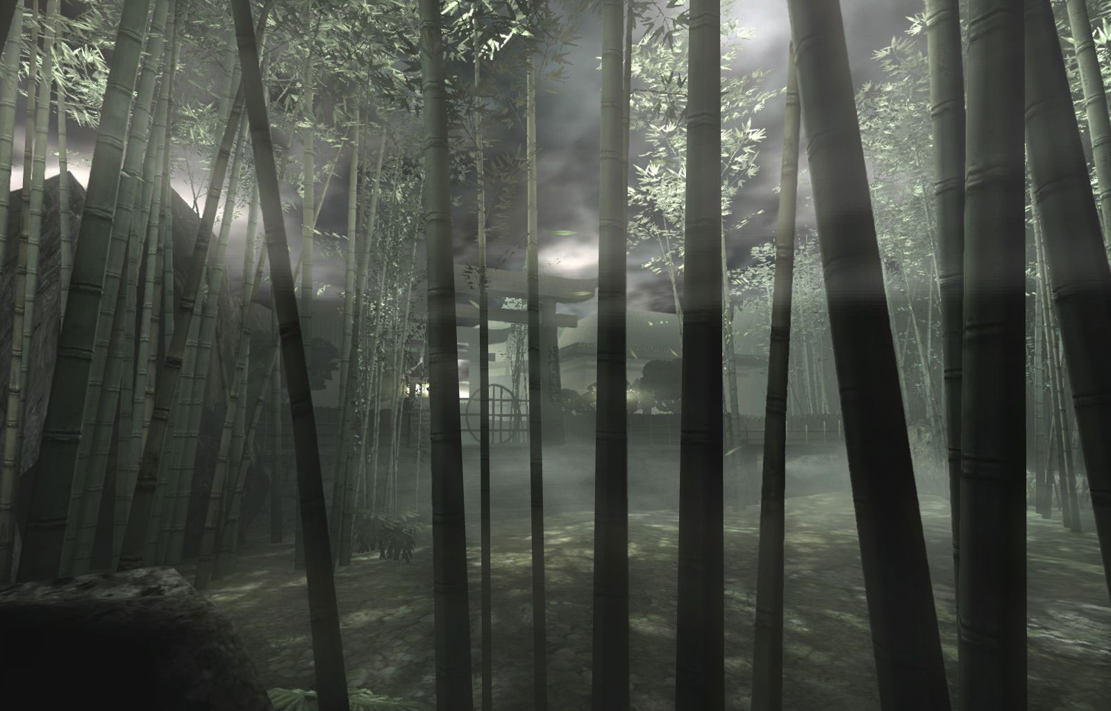 bamboo_forest.jpg