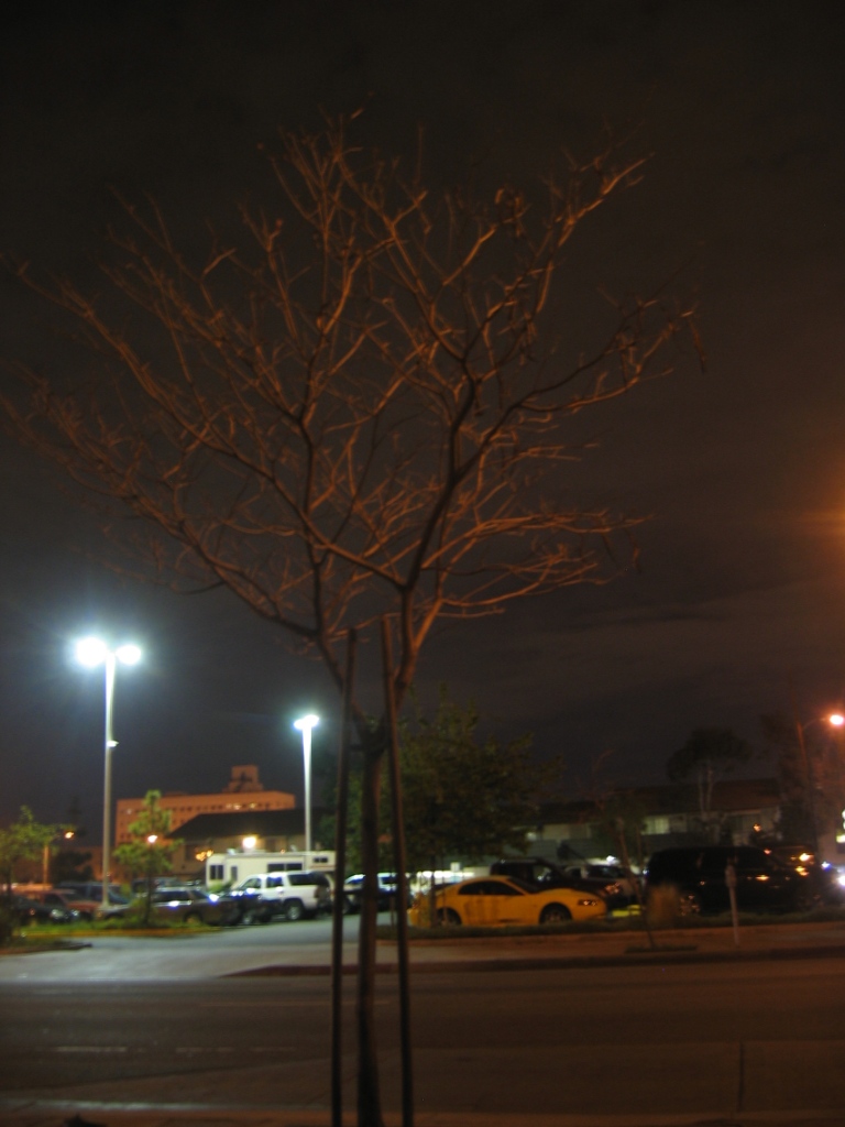 [mar0026s.JPG]