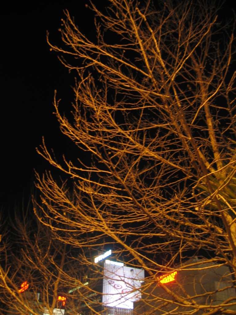 [mar0021s.JPG]