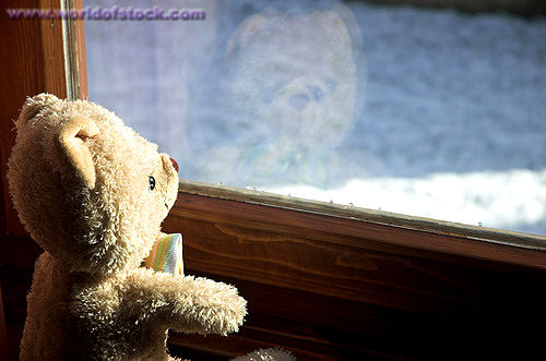 [Teddy+bear+at+window.jpg]