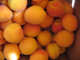 Heritage Apricots