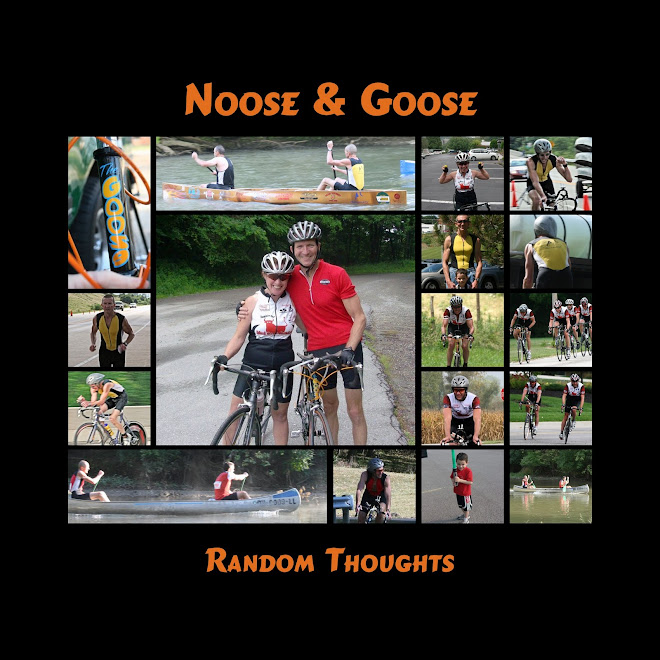 The Goose & Noose  - Random Thoughts