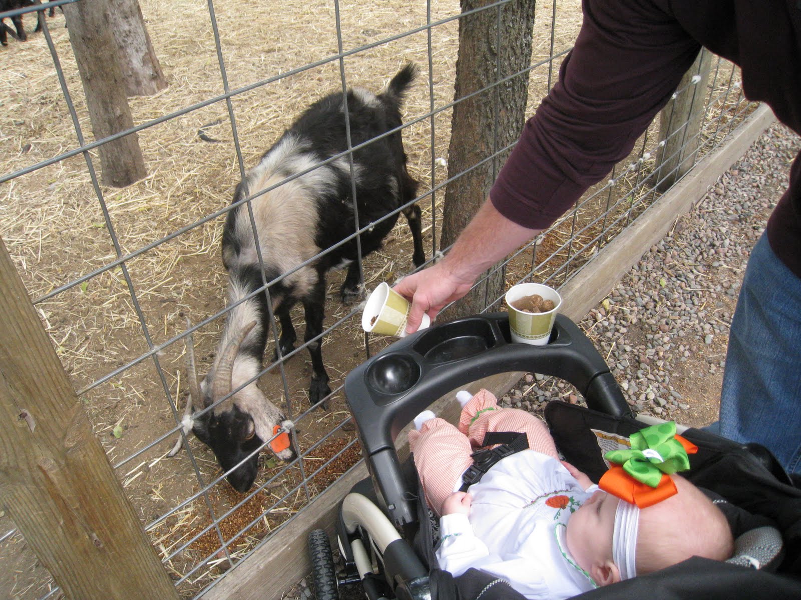 [October+3,+2009+034.JPG]