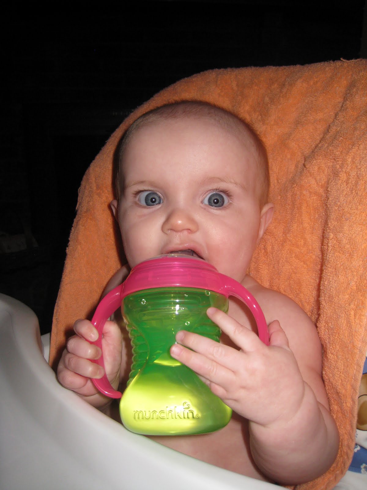 [October+24,+2009+016.JPG]