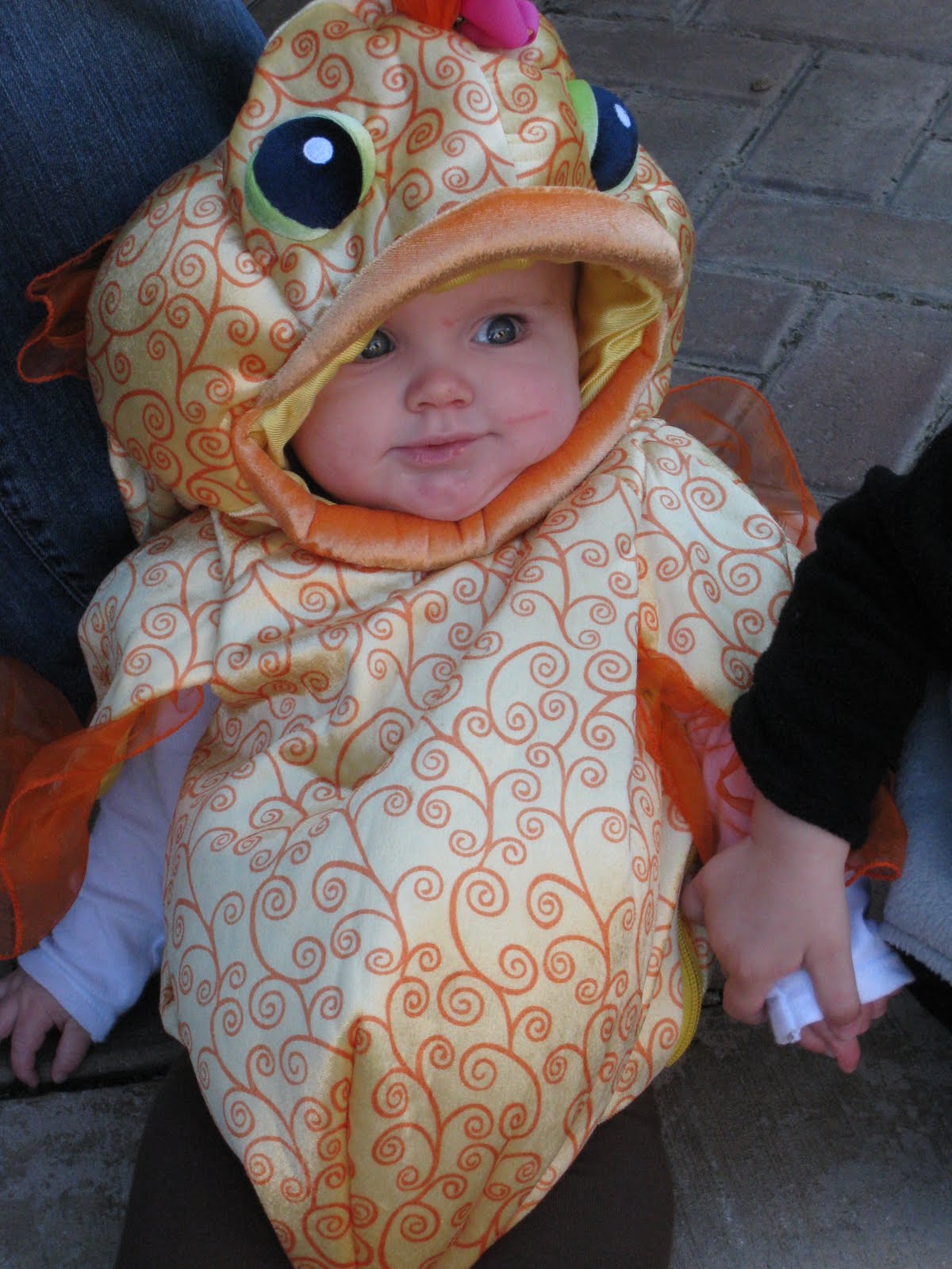 [November+4,+2009+017.JPG]