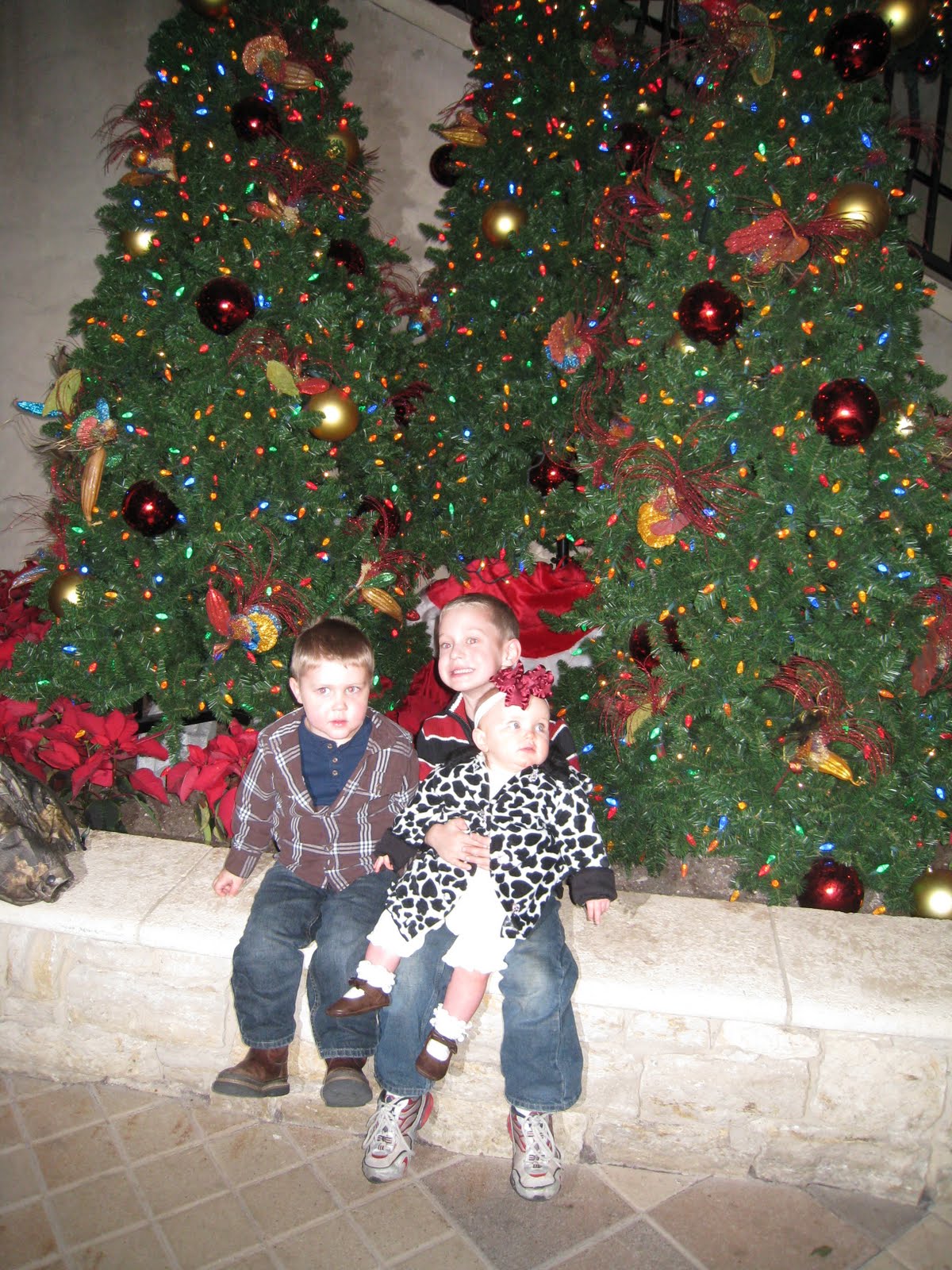 [December+17,+2009+028.JPG]