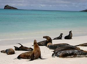 [galapagos1.jpg]