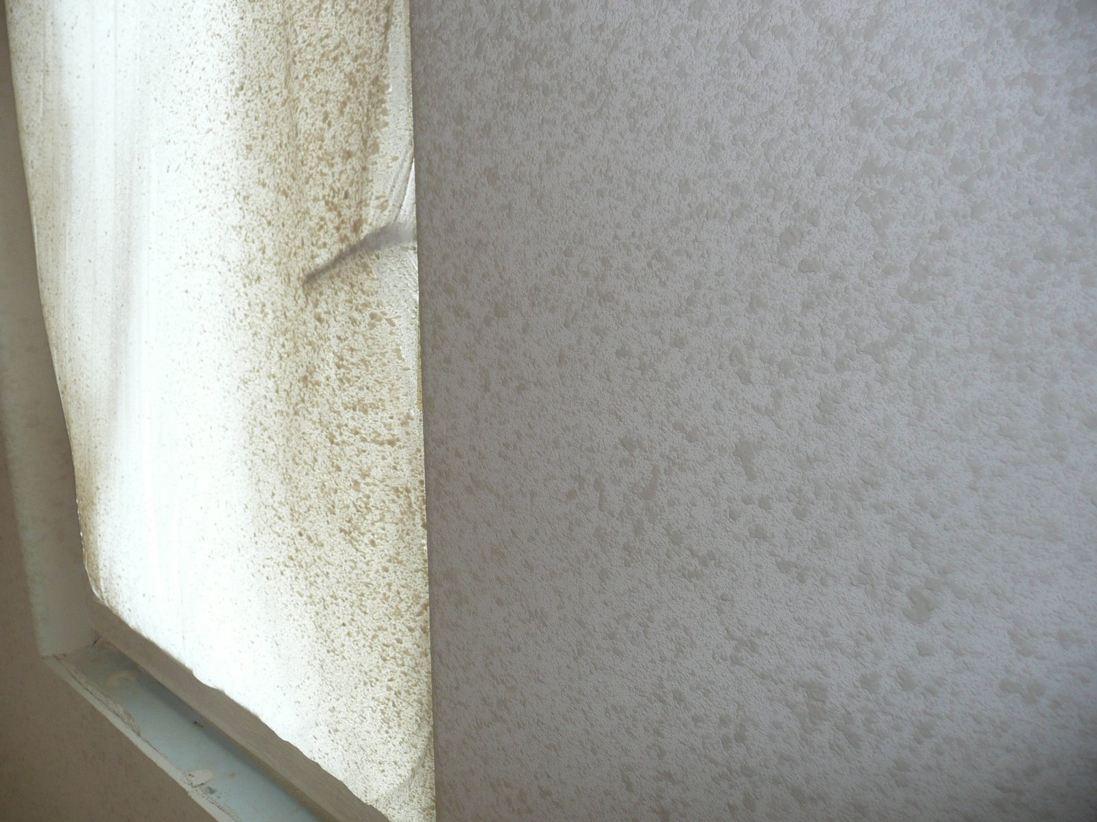 [P1010746.JPG]