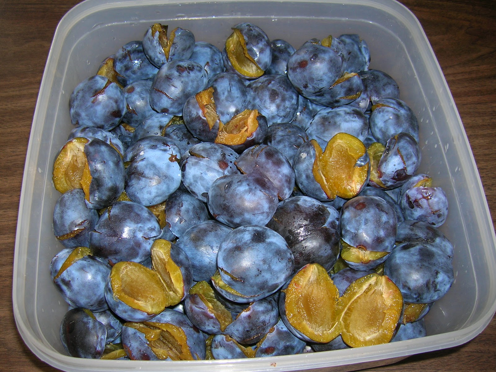 My Mountain Garden Gleanings Prune Plums