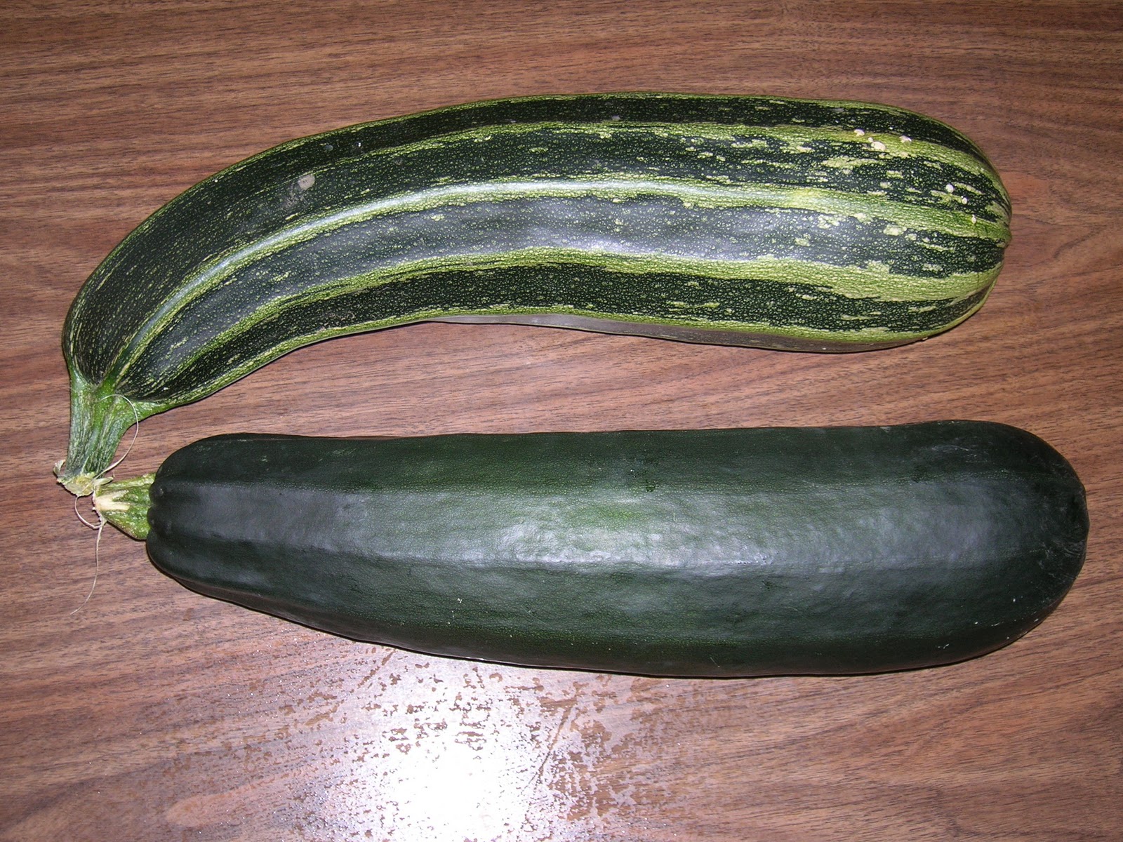 My Mountain Garden Gleanings Zucchini Candy
