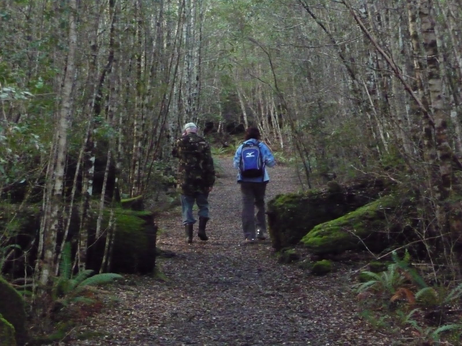 [10TreeTrunkGorge.JPG]
