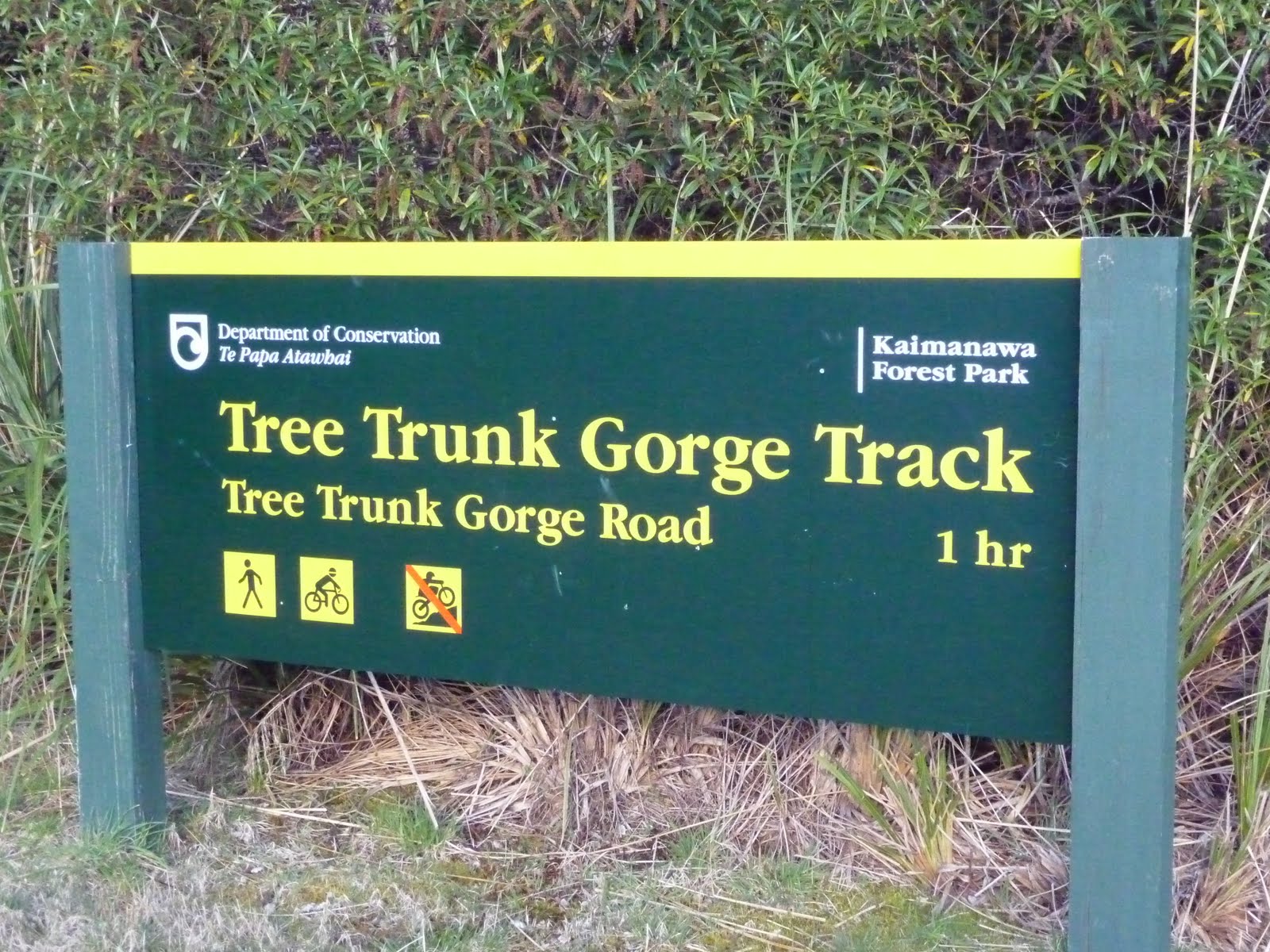 [12TreeTrunkGorge.JPG]