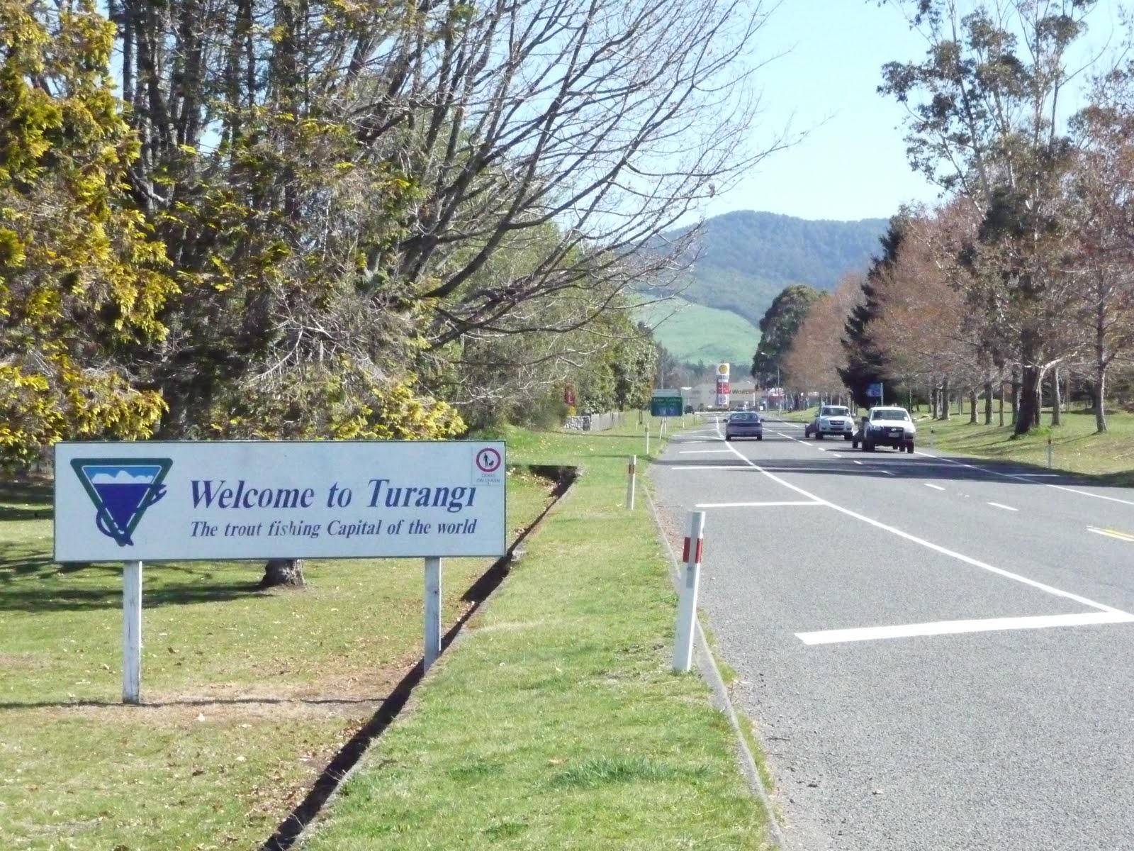 [25Turangi.JPG]