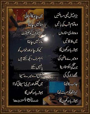 love poems in urdu. Urdu Love Shayari