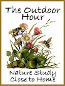 The Outdoor Hour Nature Study