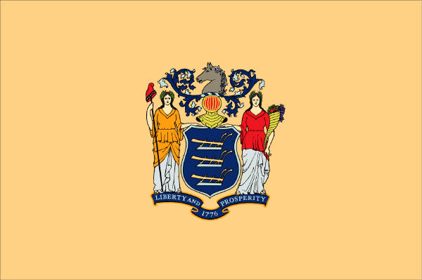 pictures of new york state flag. new york state flag