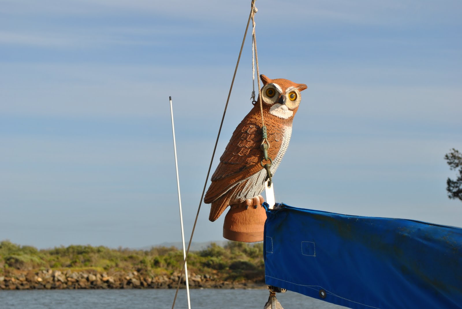 Sailing Training Wheels Dock Gnome and other Dock Accoutrements