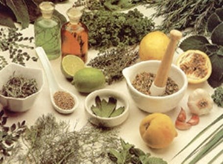 [plantas+medicinais.jpg]