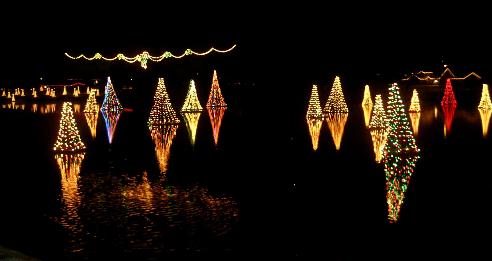 Life of Tracy Christmas in Salem