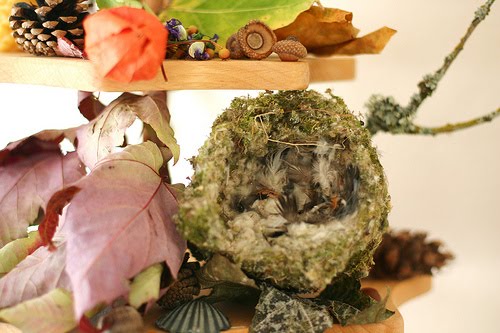 [3930815624_6816f0ca85.jpg]