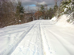 Snow in the montains?
