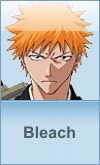 Bleach: Manga 406 Anime 273