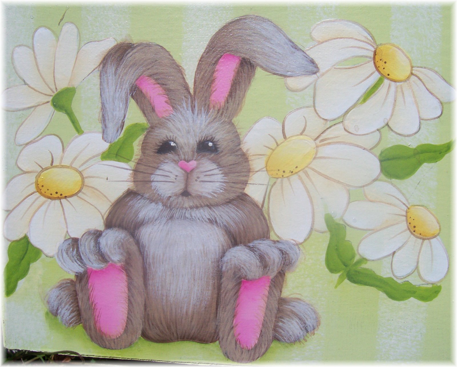 [bunny2.jpg]