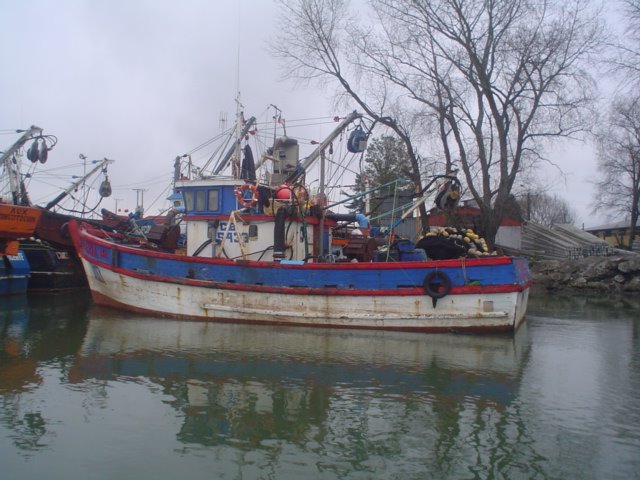 Barco Pesquero