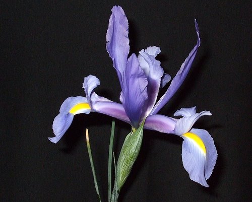 [2378133754_3db32daa84.jpg]