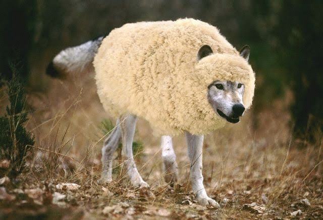 [wolf-in-sheeps-clothing1.jpg]
