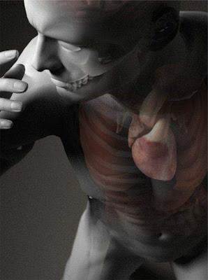 The human anatomy