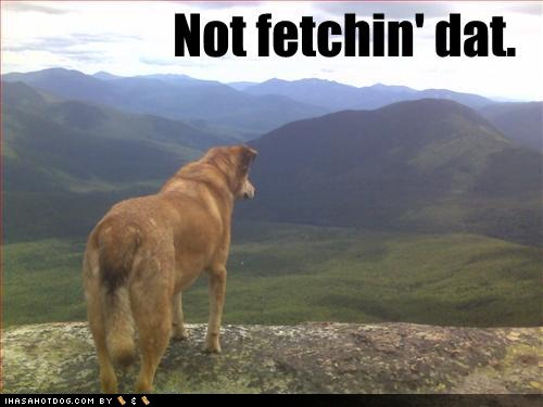 [dog-will-not-fetch-this-one.jpg]