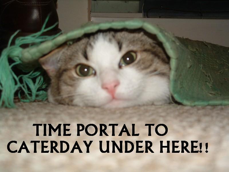 [time+portal+to+caterday.jpg]
