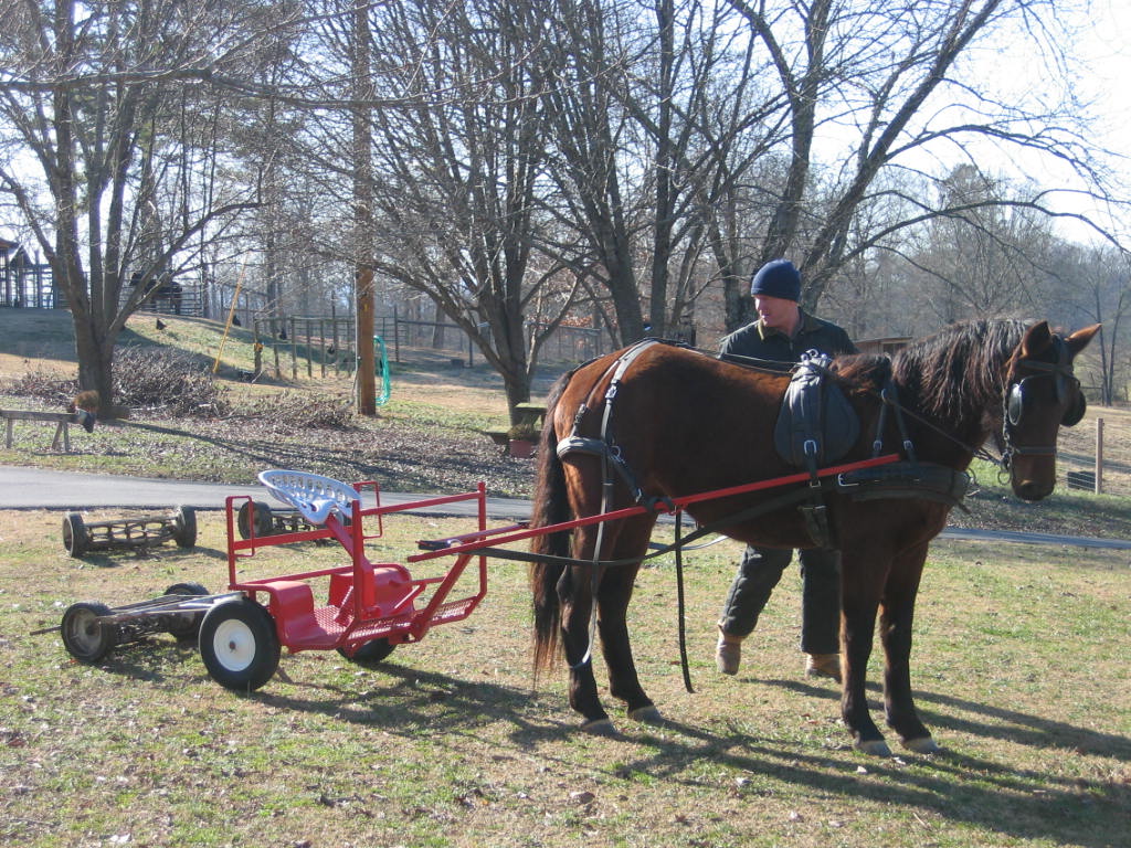 [hannah+birthday+and+others+and+cow+086.jpg<br>Here]