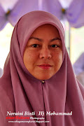 Cikgu Noraini Binti Hj Mohammad