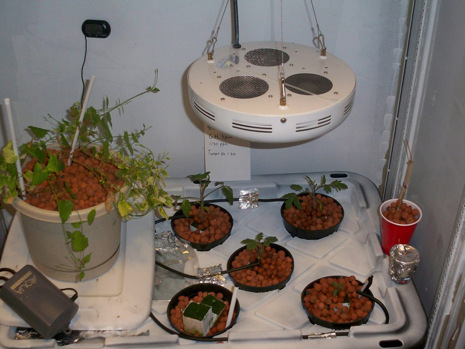 View of Apartment Hydroponics: My First Real Hydroponic Set Up.