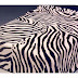 Moderna funda nórdica para dormitorio con diseños de zebra