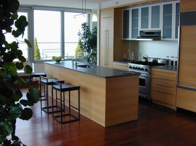 contemporary,kitchen,interior