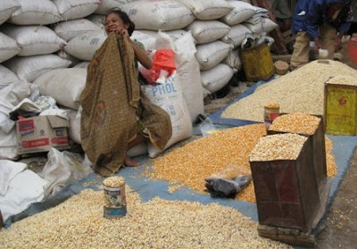 Keterbatasan Sumber Daya Manusia di Timor Leste