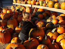 Getting lost in the pumpkins!