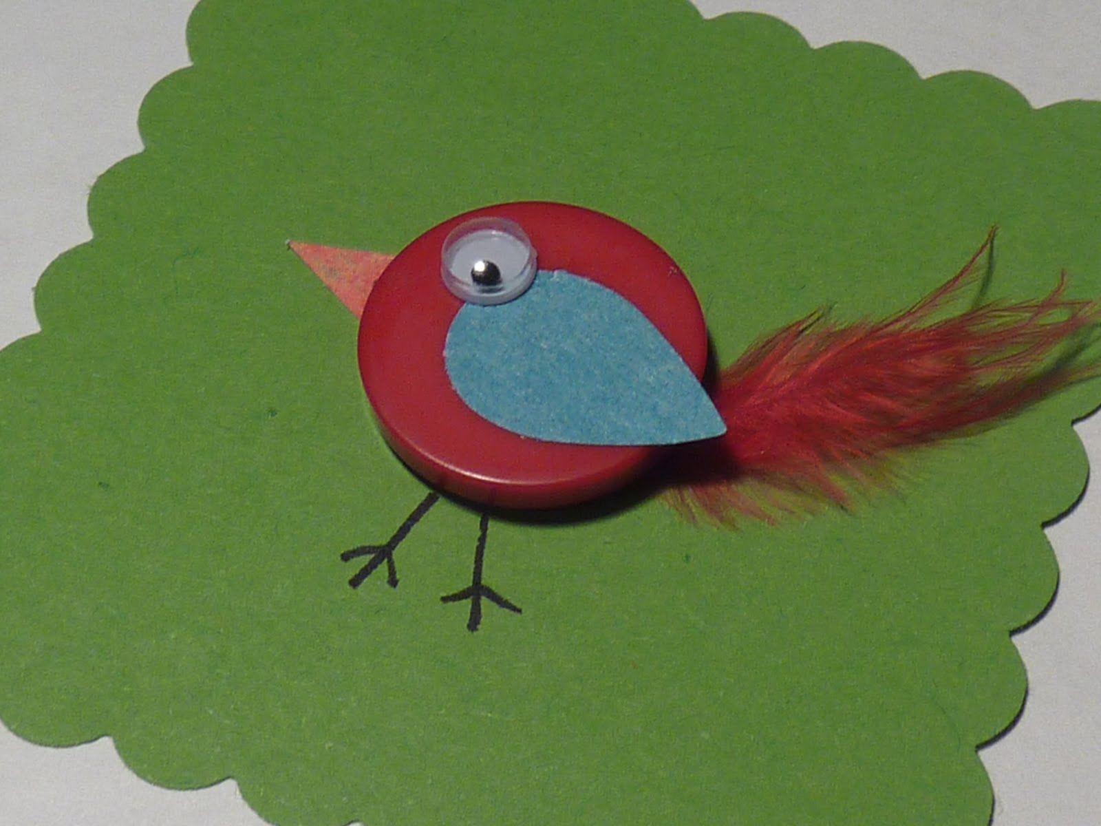 No time to be bored: Button bird with fluffy tail