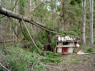 Fallen tree on trash shed, photo by Robin Atkins