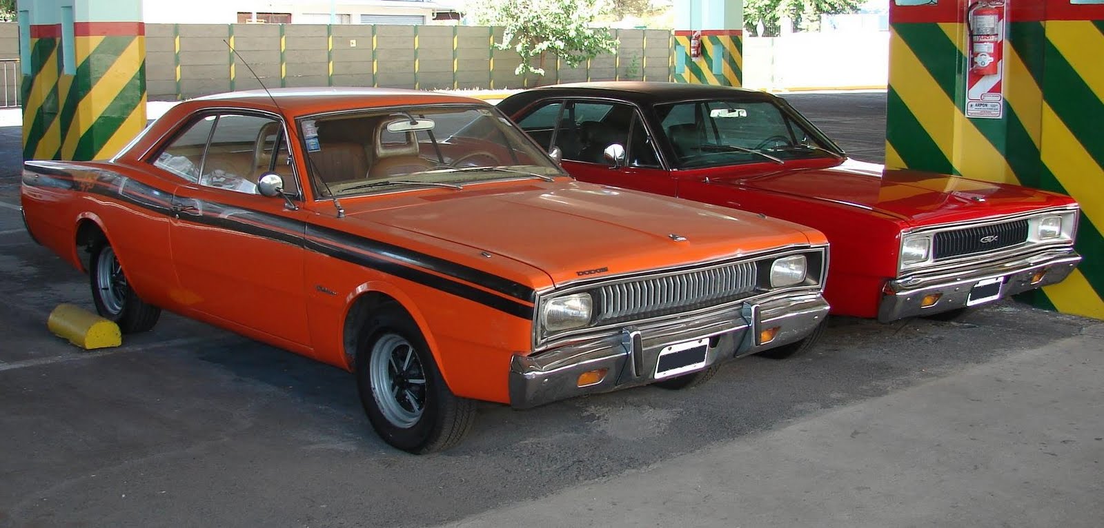 Dodge x 100