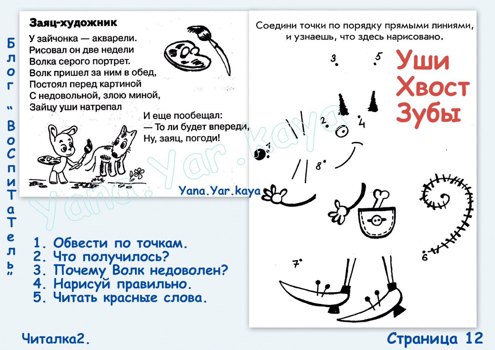 семейство кошачьих снежный барс. снежный барс (ирбис, снежный леопард). хвост зубы. хвост зубы. хвост зубы.